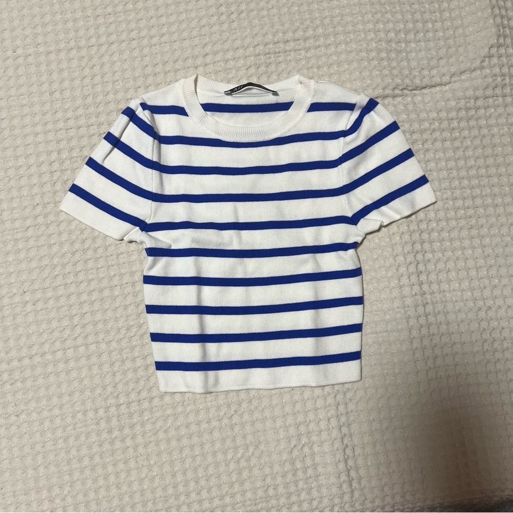 Zara Blue and White Striped Crop Top